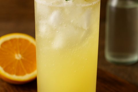 🍸 Citrusni gin fizz – osveženje sa mehurićima i mirisom leta